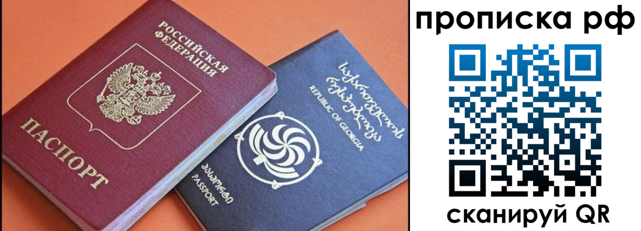 прописка поиск в Ртищево